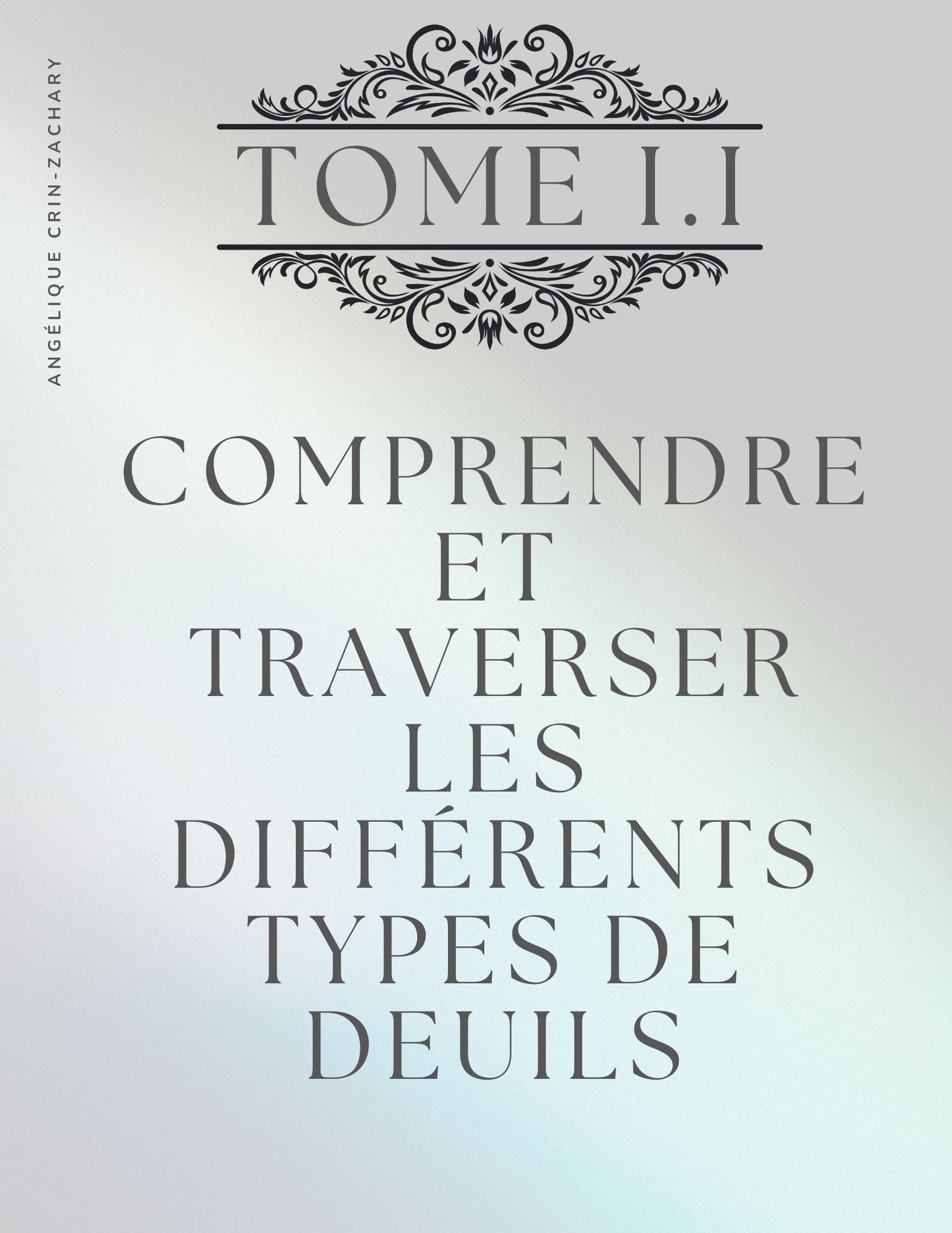 Intro Comprendre et traverser Les Deuils